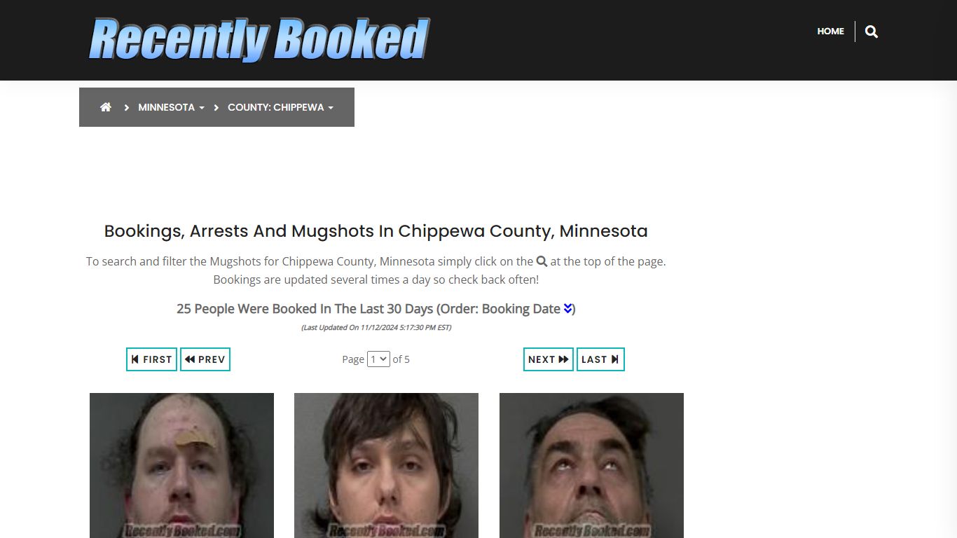 Bookings, Arrests and Mugshots in Chippewa County, Minnesota