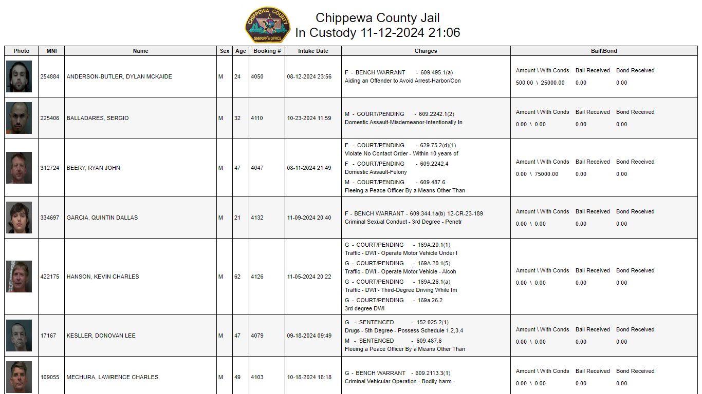 Custody - letg.chippewa.mn